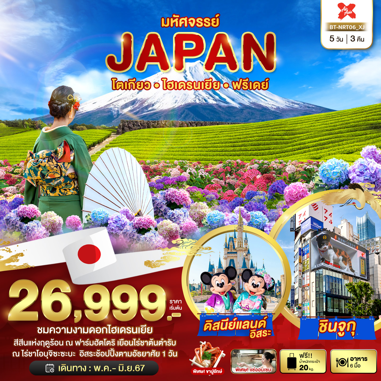 JAPAN โตเกียว ไฮเดรนเยีย ฟรีเดย์ 5D3N (MAY-JUN 2024)